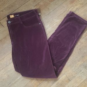 Anthropologie Pilcro Serif Velvet Pants